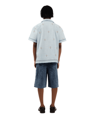male-6