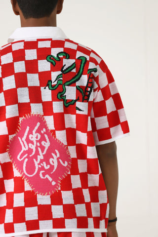 "Playful past" knit polo
