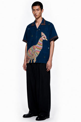 Nazara Button Down