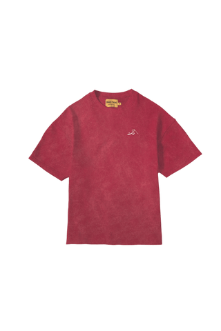 Maroon Acid Wash Made in Pak T-Shirt (V4)