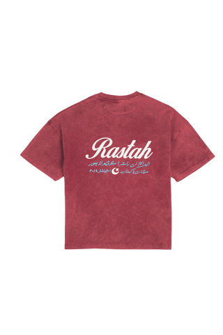 Maroon Acid Wash Made in Pak T-Shirt (V4)