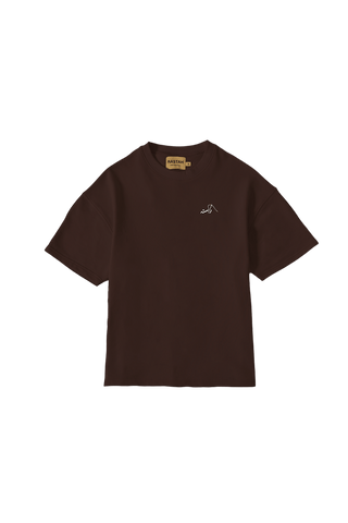 BROWN MADE IN PAK T SHIRT(v1)