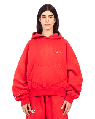 VERMILION MADE IN PAK HOODIE (V4)