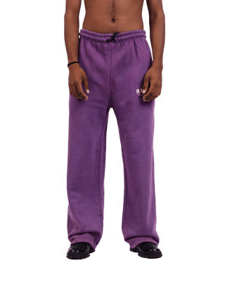 PURPLE SWEATPANTS (v2)